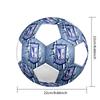 1PC Lech Poznan Poster Size 5 Soccer Ball PrahaIndoor Soccer Ball Colorful All Ages Machine Stitched PVC Competition Ready Durable High-Bounce