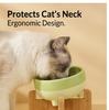 450ml Pet Bowl Flat & Slanted Neck Design Durable Cat Dog Food Water Bowl For Indoor All Season Feeding