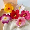 Plumeria Hibiscus Flower Hair Clip Hawaiian Flower Side Bangs Clip For Women Seaside Beach Hibiscus Flower Hairpin Headband