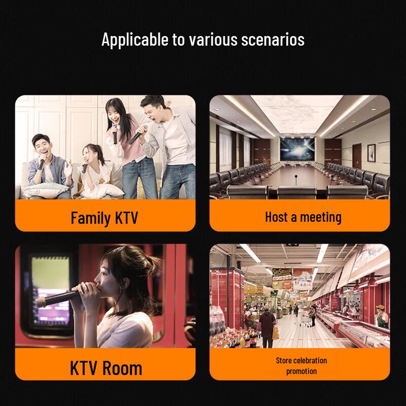 SANSUI H11 10-inch Home KTV Audio System CN Plug (adapter Included)