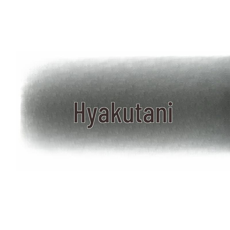 Black Crystal Bowknot Earrings: Elegant S925 Silver Studs for Women