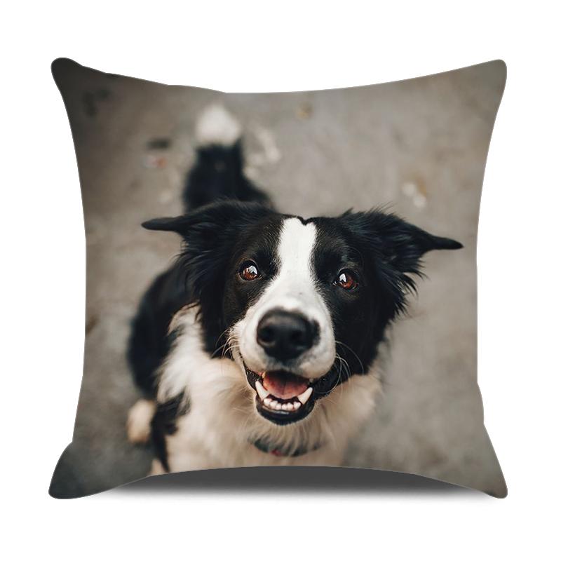 Animals Cushion Cover 18x18 Inches Throw Pillow Case Cow Sheep Donkey Pig Printed Pillow Cover Farmhouse Home Decor Cushion Case