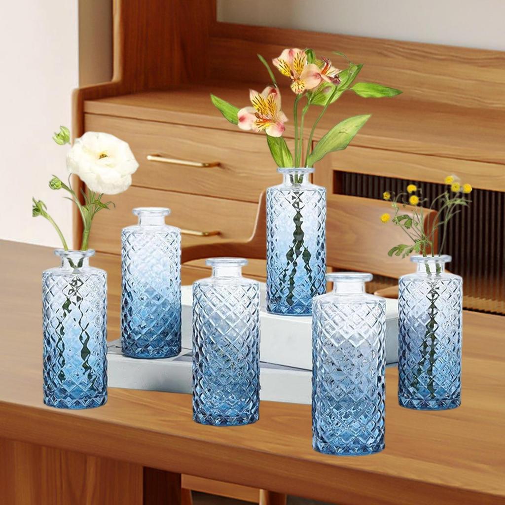 6 Pieces Glass Bud Vases Creative Portable Flower Arrangement Display for Kitchen Cabinet Bookshelf Farmhouse Wedding Gift