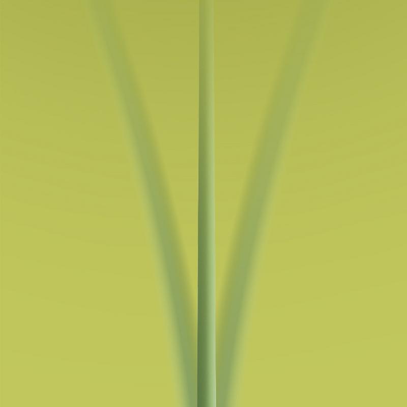 Electric Cat Toy Flower Exercise Kitten Toy Automatic Electric Rotating Flower Cat Teaser For Indoor Cat And Puppy Exercise