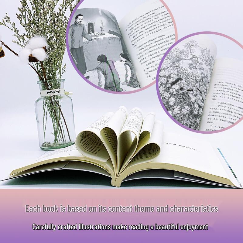 Primary School Chinese Textbook Synchronized Reading Series - Grade 5