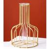 1 Pcs Metal Vase for Home Decor, Living Room, Bedroom, Office, Table Centerpiece | Propagation Station with Metal Frame,