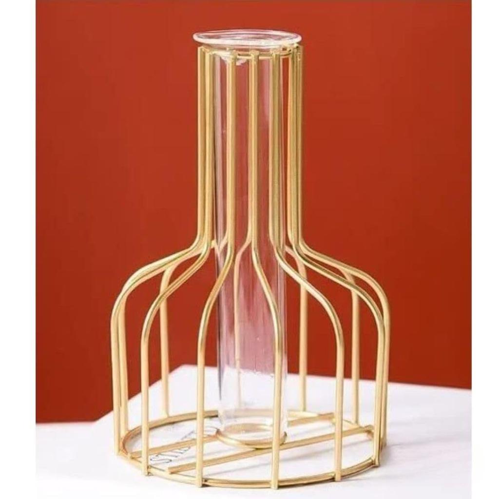 1 Pcs Metal Vase for Home Decor, Living Room, Bedroom, Office, Table Centerpiece | Propagation Station with Metal Frame,