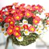 Artificial Fake Silk Daisy Flower Bouquet Home Wedding Party Decoration 8 Heads
