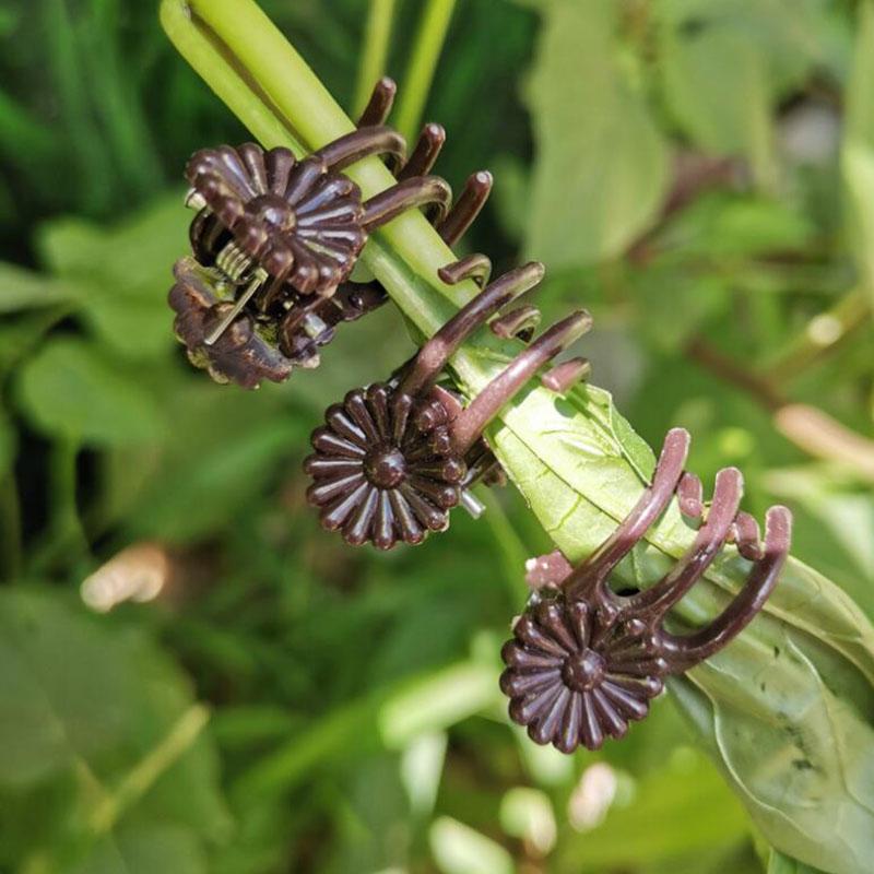 Plant Support Holder Clips For Orchid Vine Support Vegetables Flower Tied Bundle Branch Clamping Garden Tool