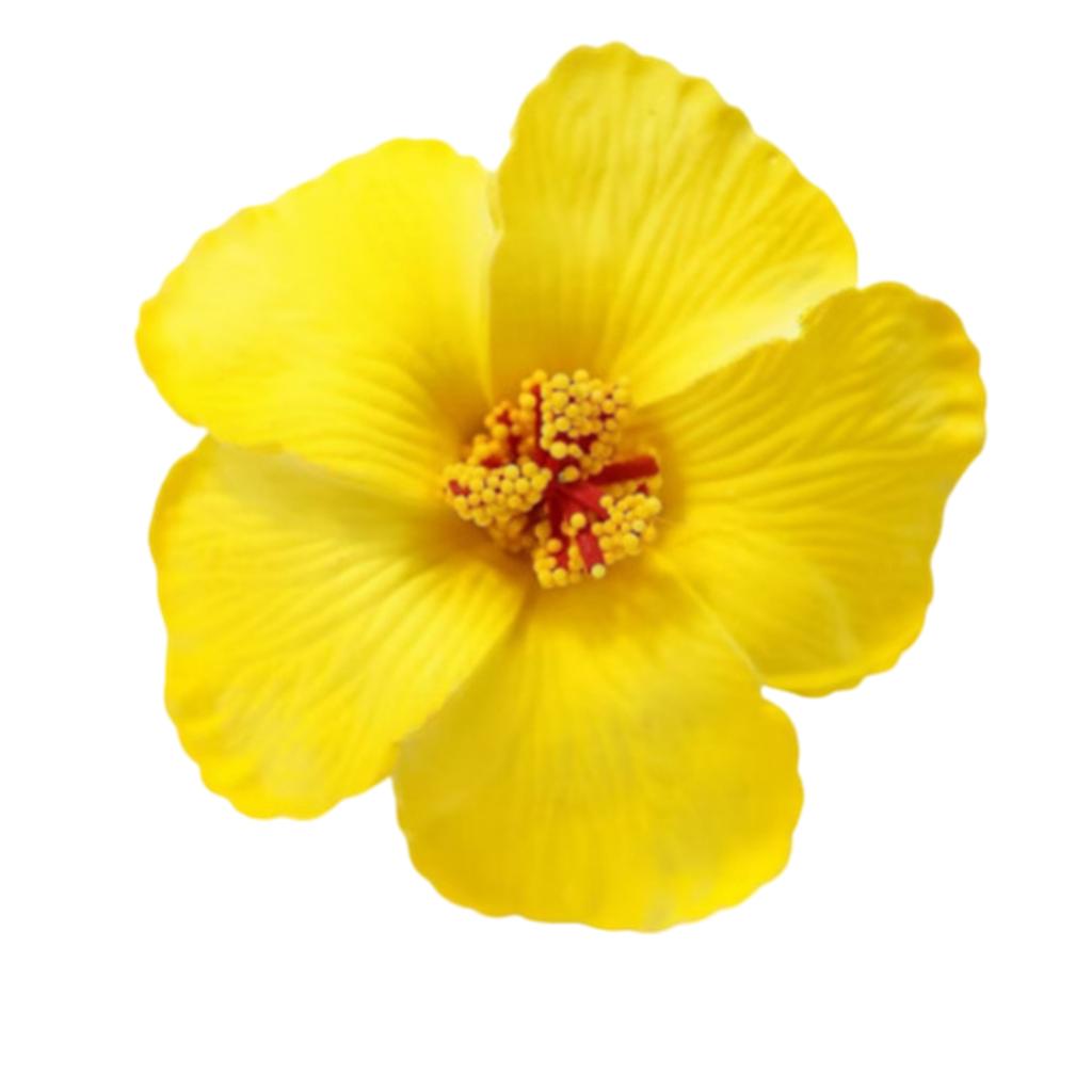 Siumlation Flower Hair Clip For Women And Girl Hibiscus Hair Barrette Hair Accessories For Vacation and Beach Parties