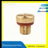 LR034624 Coolant Pipe Covers: Plastic & Copper Plug