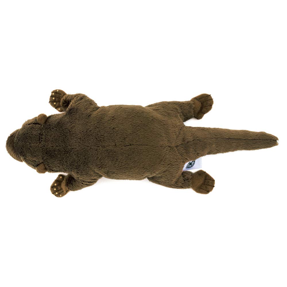 Calorata Asian Otter Plush Toy Realistic Animal Toy Doll Gift Present Birthday Christmas Present Small-Clawed (Nestling Series/Soft Touch) (Twice