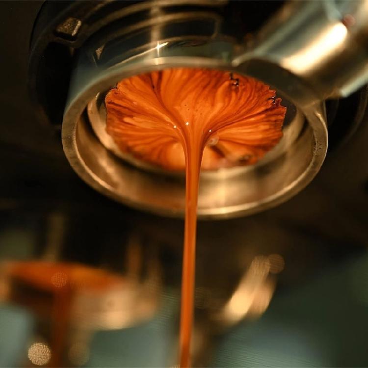 54mm Bottomless Portafilter Stainless Steel Espresso Portafilter with Wall Rack