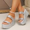 Silver Chunky Platform Sandals for Women 2025 Summer Fashion Braided Strap Wedge Heel Sandals Woman Thick Bottom Beach Slippers