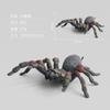 Simulation Pvc Animal Static Model Arthropod Spider Doll Collection Boutique Ornament Gift Gift Toy