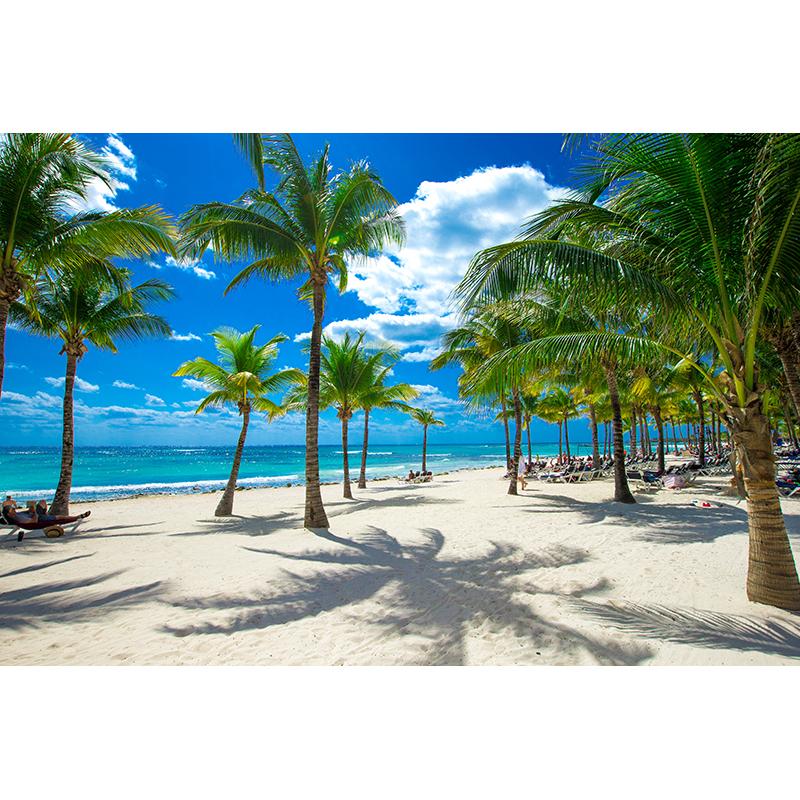 3D Photo Wallpaper Seaside Coconut Tree Beach Scenery Wall Mural Wall Paper For Living Room 3D Mural