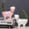 Kitten Ceramic Succulent Pots with Drain Hole Mini Pots for Plants Cactus Plants Containers for