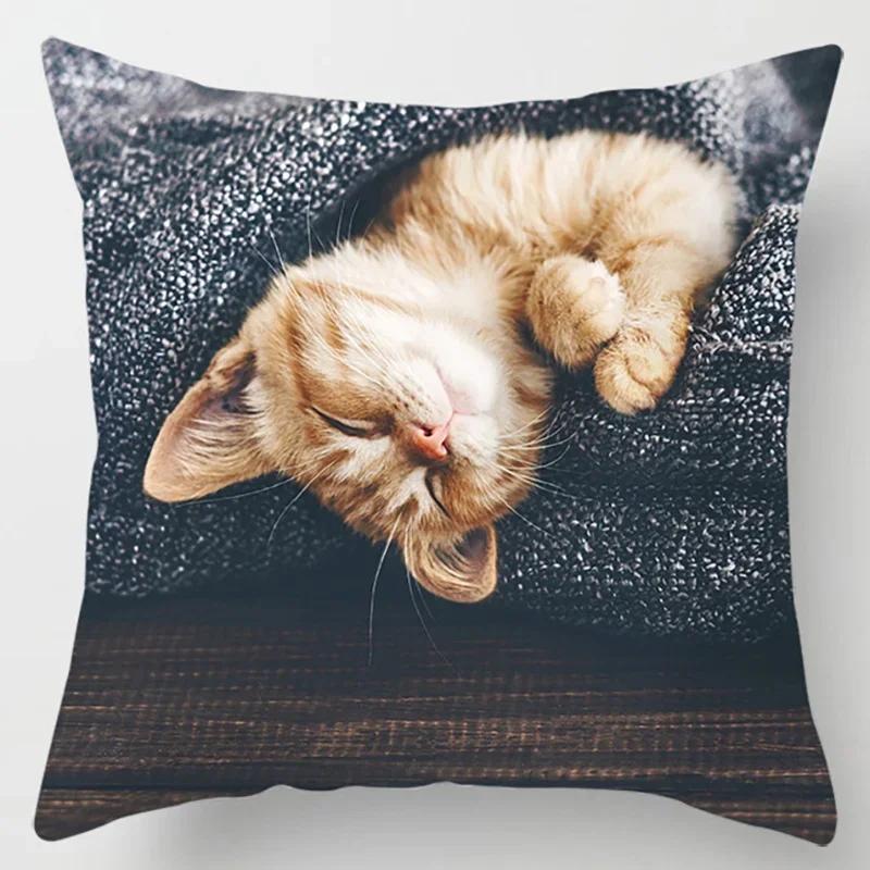 45X45CM Cat Collection Pillowcase Home and Office Decor Square Pillowcase