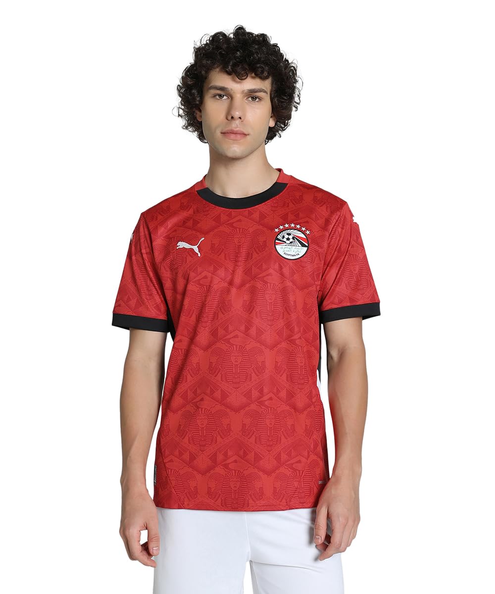 

Лицензионная футболка EFA Домашняя реплика S Красный [PUMA] Футбол/Футзал Мужская Мужская красный