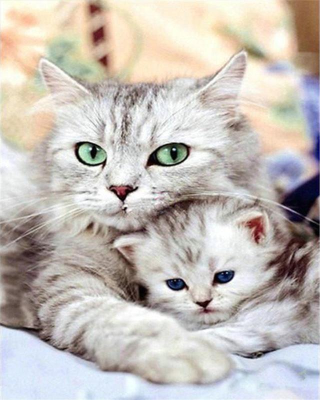 Full Square Drill Diamond Painting Cat Girl Diamond Embroidery Animal Mosaic Art Rhinestone Home Decoration