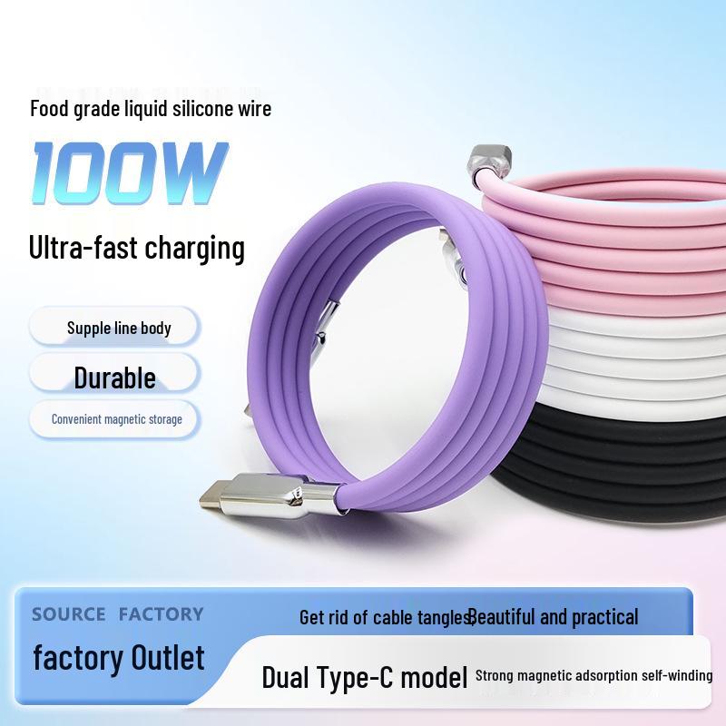 100W Fast-Charging Magnetic Type-C Cable with Storage, Compatible for iPhone 17, Android, Huawei.