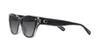 Sunglasses HC8370F CH660 GRAY GRADIENT Lens 56 [Coach] BLACK/TRANSPARENT Frame/GREY