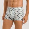 Kalsonger – Boxers