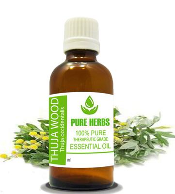 Pure Herbs Olej z tuje západnej Thuja Occidentalis GG280.169