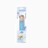 Daily Practice Nylon Mixed Brush Set for Watercolor, Gouache, Oil Painting - 5 Brushes