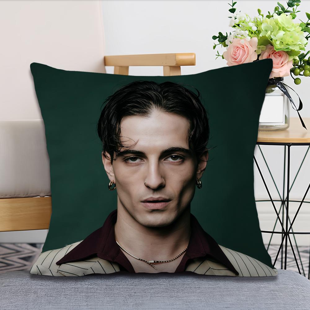 Rock Singer DDamiano David cushion cover Pillow Case Square Cushion Room Bedroom Headboard Sofa Living Backrest Nap Time