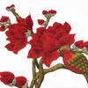 1 Set Applique Repair DIY Patches For Jeans Hat Embroidered Magnolia Bag Clothes Fabric Stickers Embroidery Flower