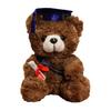 Personalized Graduation Gifts 2026 for Her, 7-Inch Teddy Bear, Soft Plush Graduation Mascot for College High School, Grade Graduation Gifts