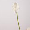 Wedding Background Artificial Anthurium Flower Home Decoration Party Floral Arrangement