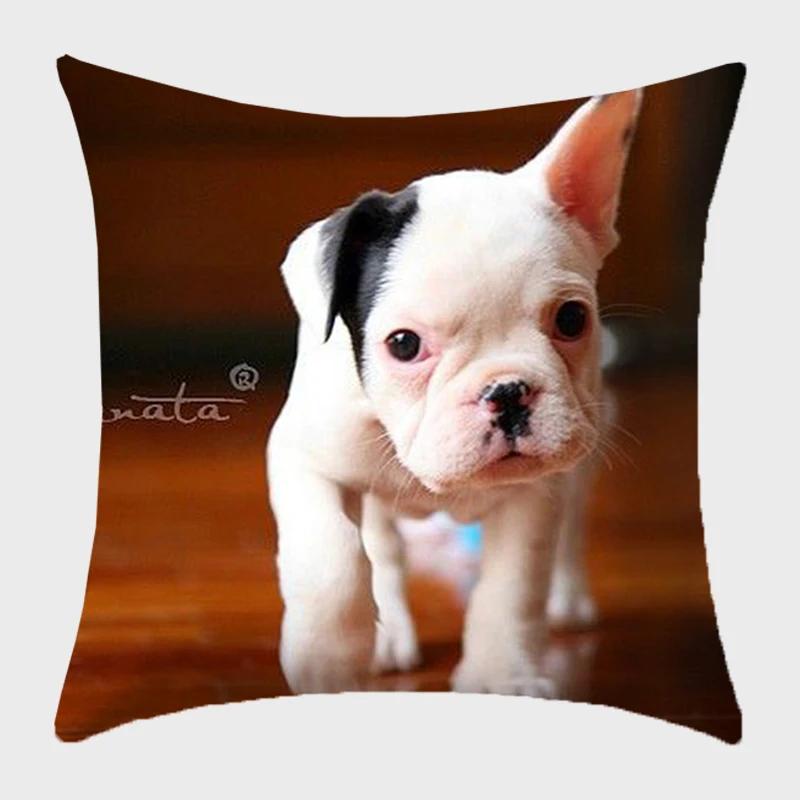 Bulldog Polyester Cushion Cover Modern French Bulldog Pillowcase Sofa Throw Pillow Cover Decorative Pillowcase For Couch Bed Car