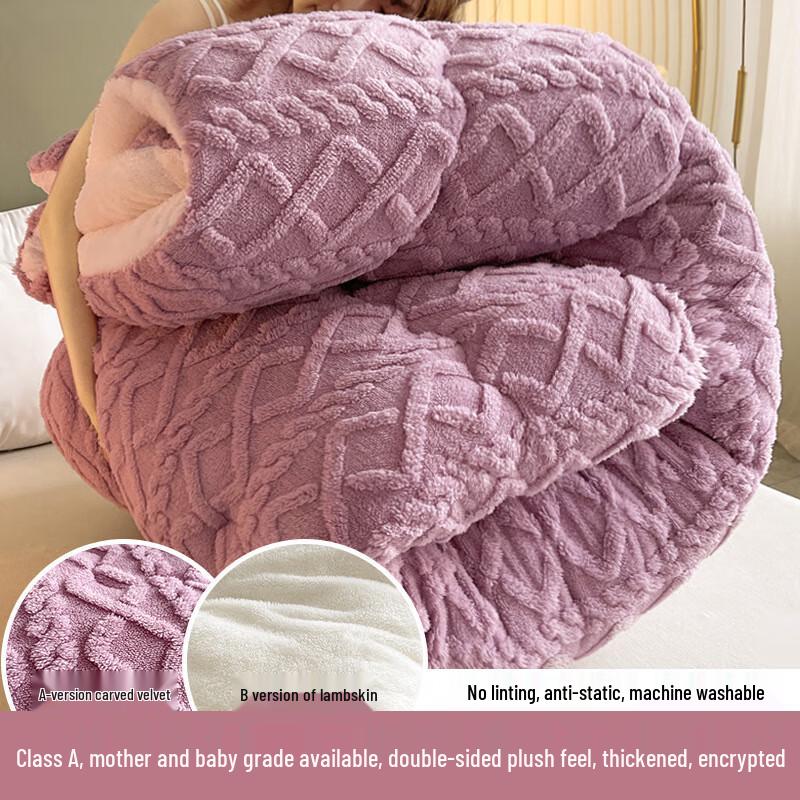 Wenlong Lamb Wool Double-Sided Plush Quilt