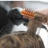 Friseurborsten Holzkamm für lockiges Haar Natürliche Wildschweinborsten Rundbürste zum Föhnen Lockenhaarbürste Haarstyling-Werkzeug
