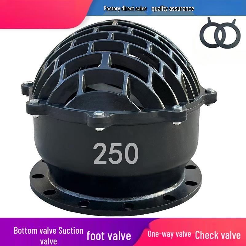 

DN800 H42X Flange Bottom Check Valve