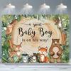 2D Forest Animal Baby Backdrop, Woodland Creatures for Baby Boy Shower Photoshoot