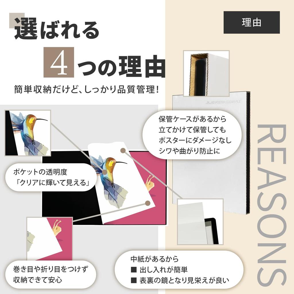 Green Week B2 Poster Holds 20 Posters Inner Paper and Storage File, (Includes Case) GWB2F-20