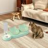 3 In 1 Cat Bowl Set Feeder with Water Dispenser Durable Removable 15° Tilted Raised Bowls Puppy