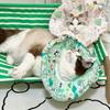 Anti Biting Pet Protective Cone Collar Cartoon Pattern Anti-licking Collar  Neck Recovery