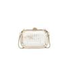 Acrylic box shoulder bag 2025 new fashion transparent jelly bag ins women's chain crossbody bag