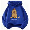 Trendiger Capybara Lustiger Kinder Hoodie Sweatshirt Süßer Harajuku Hoody für Jungen Mädchen Herbst Frühling Lässige Hoodies