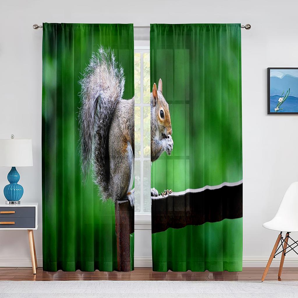 Squirrel Standing on Tree Branch Animal Sheer Voile Curtains for Living Room Modern Curtains for Kitchen Chiffon Tulle Curtain