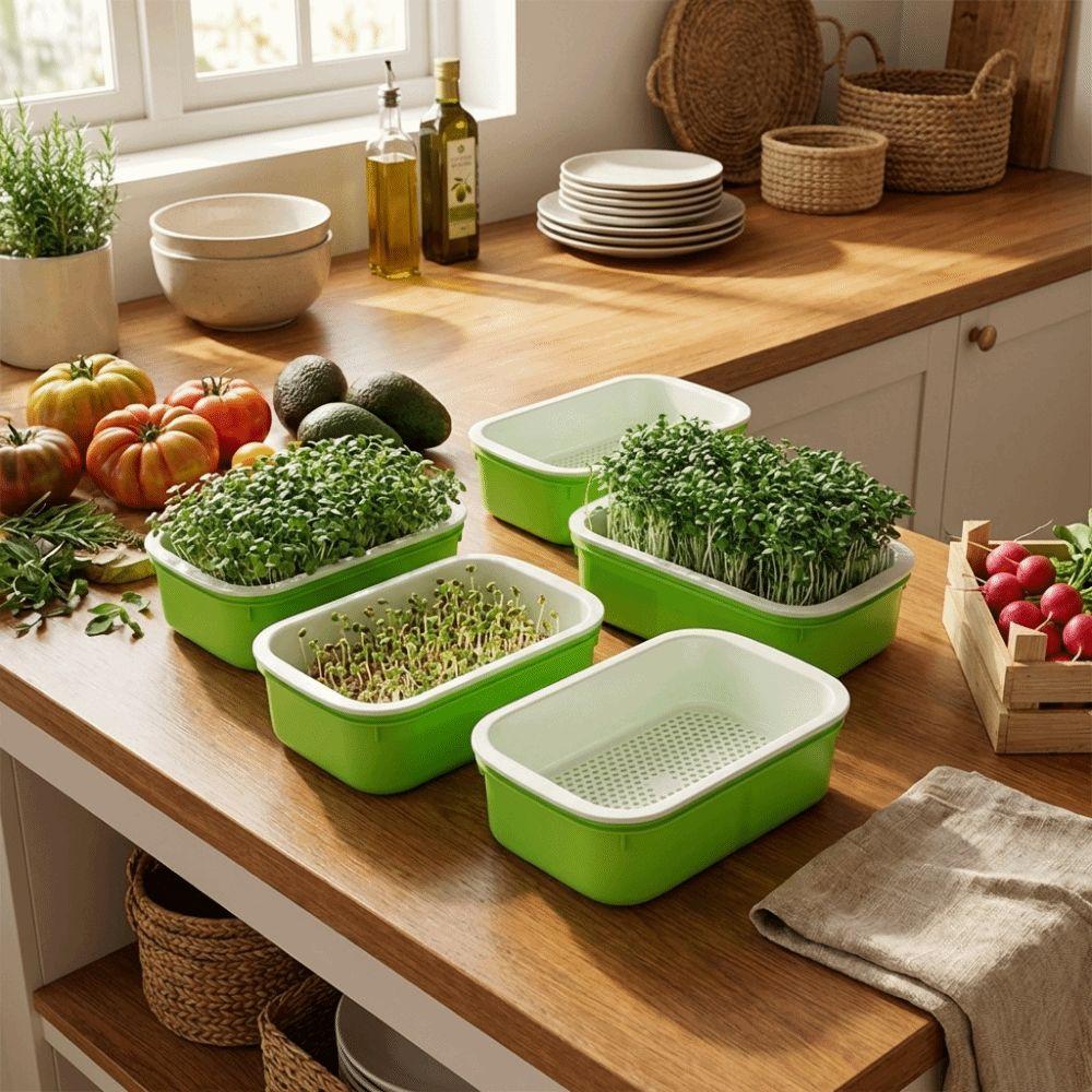 2Pcs Plastic Germination Tray Double Layer Hydroponic Planting Tray  Indoor Outdoor