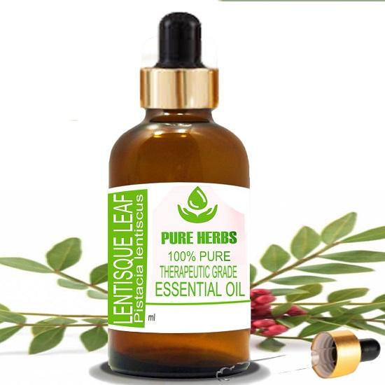 

Pure Herbs lentisque Leaf (Pistacia lentiscus) Pure & Natural Therapeutic Grade Essential Oil Glass 5 ml