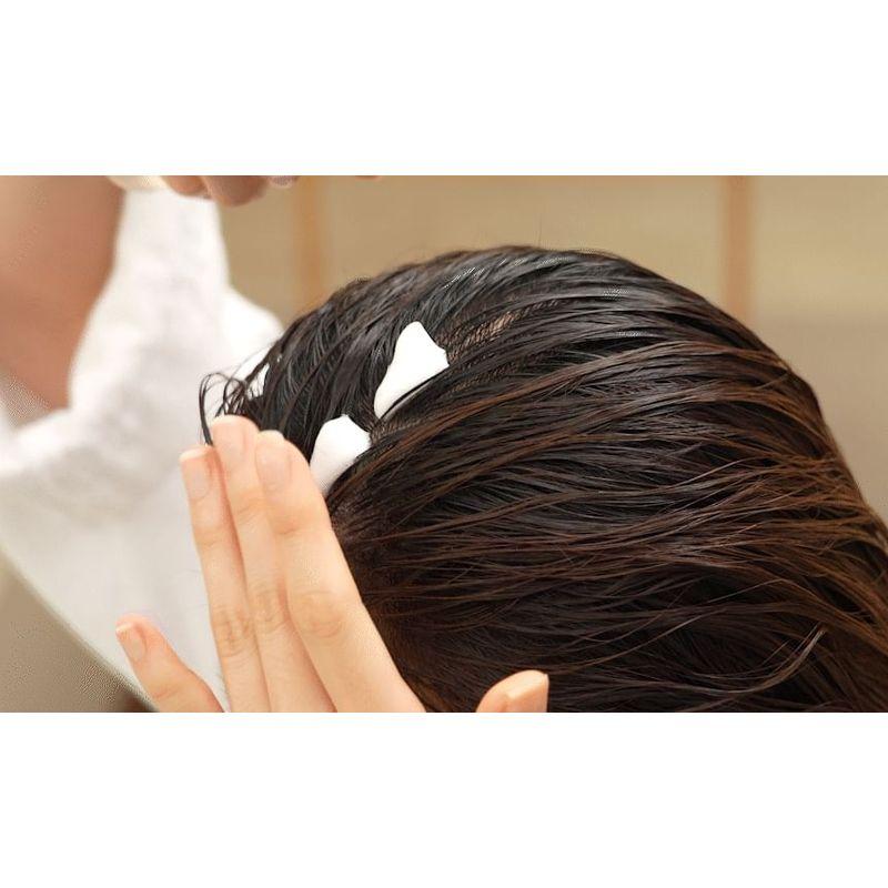 ViveLab - Revive Therapy Hair Scalp Enhancing Foam