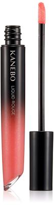 Kanebo Lix Louge 09 Groove Orange Red Lipstick (Kanebo) Let's