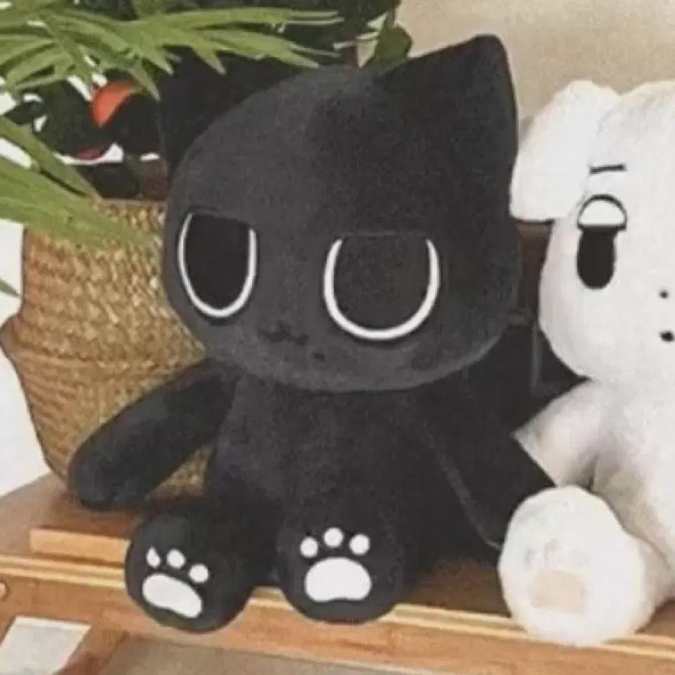 

Кукла Эспакарина на продажу 40 см Запечатанная