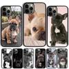 French Bulldog Silicone Soft Coque Shell For iPhone 17 Air 15 16 14 13 12 Pro Max 11 Pro Max Plus Phone Case Cover